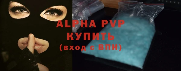 прущие грибы Козловка