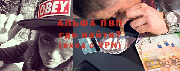 ГАЛЛЮЦИНОГЕННЫЕ ГРИБЫ Козельск