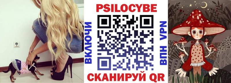 наркошоп  Медвежьегорск  Галлюциногенные грибы мицелий 